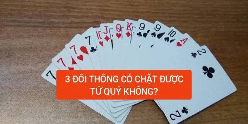 ba-doi-thong-co-chat-duoc-tu-quy-khong