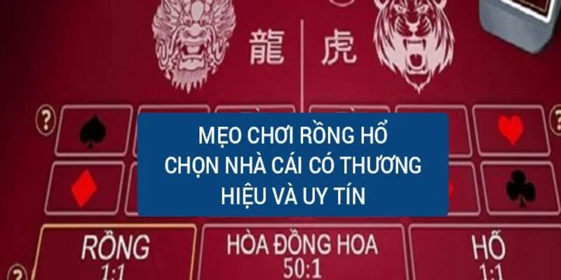 meo-choi-rong-ho-lua-chon-nha-cai-uy-tin-co-thuong-hieu